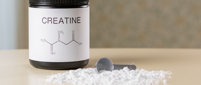 Creatine: Not Just for Muscles—Does It Support Skin Aging?